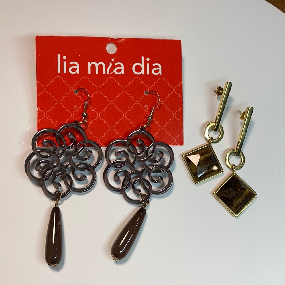 2 Pairs of Brown Earrings